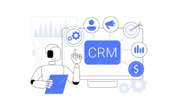 Enterprise CRM View
